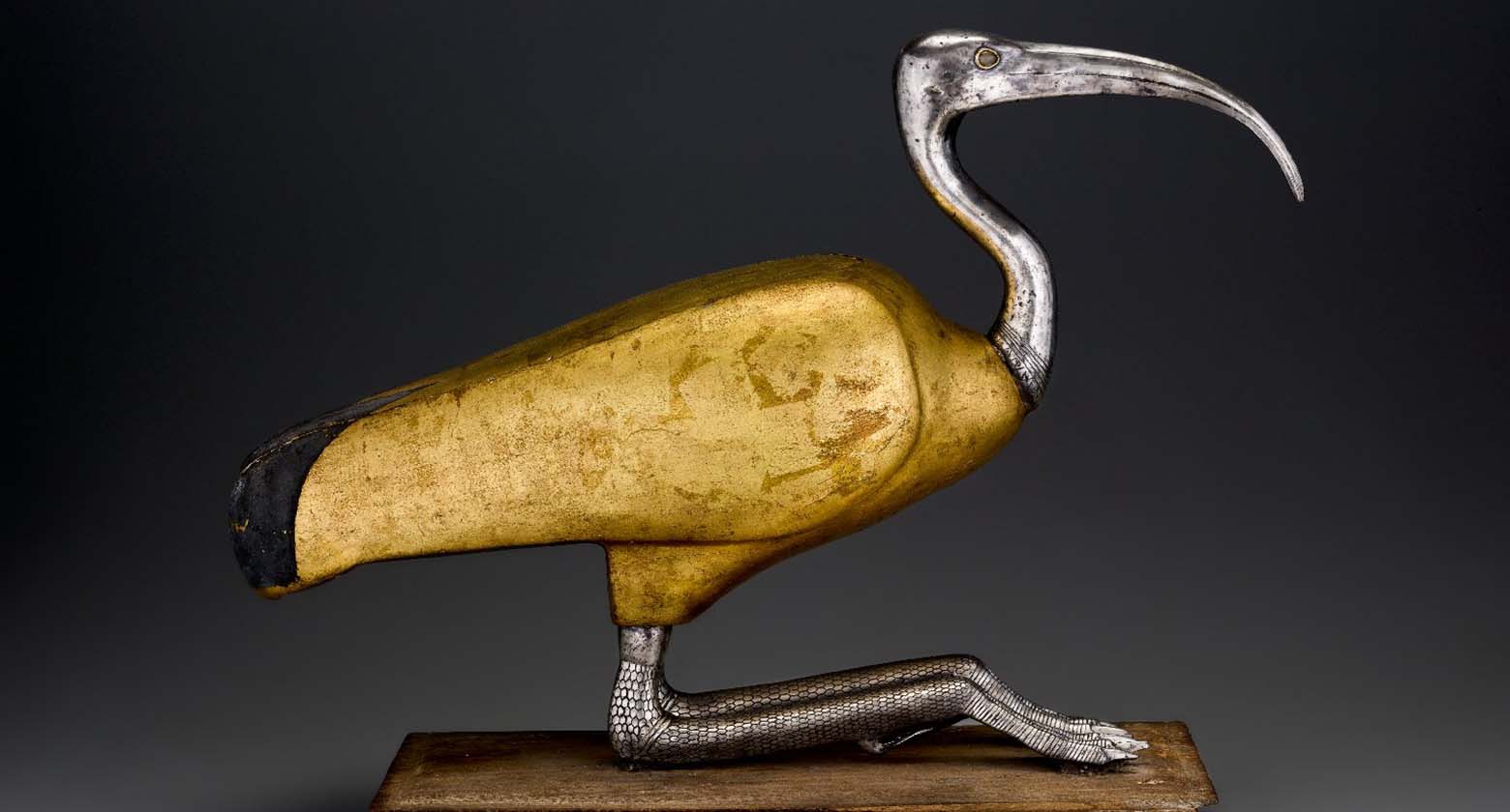 [image] When Mummification Was For the Birds